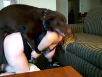 Sexy and busty chick got fucked on the couch by dog xxx
